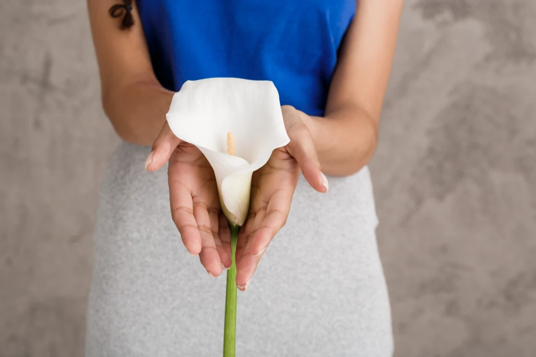 Pretty young woman holding white flower over beige wall