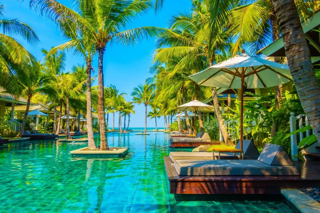 house landscape pool relaxation garden